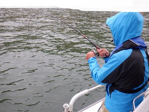 遊漁船 幸友丸 釣果