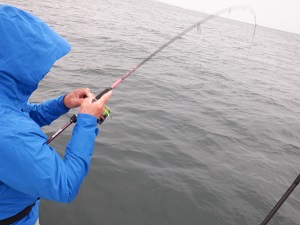 遊漁船 幸友丸 釣果