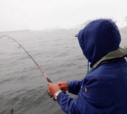 遊漁船 幸友丸 釣果