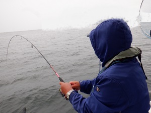 遊漁船 幸友丸 釣果