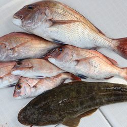 松本釣船２ 釣果