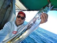 おおせき丸 釣果