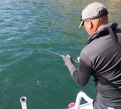 遊漁船 幸友丸 釣果