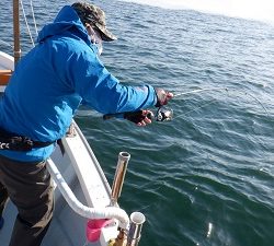 遊漁船 幸友丸 釣果