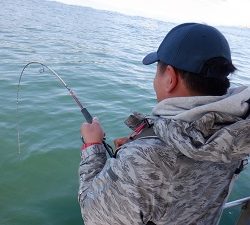 遊漁船 幸友丸 釣果