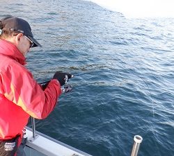 遊漁船 幸友丸 釣果