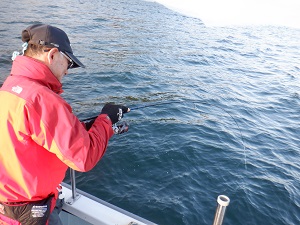 遊漁船 幸友丸 釣果