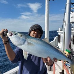 ブルーピア 釣果