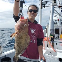 ブルーピア 釣果