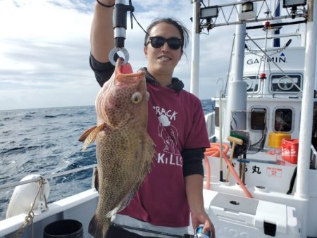 ブルーピア 釣果