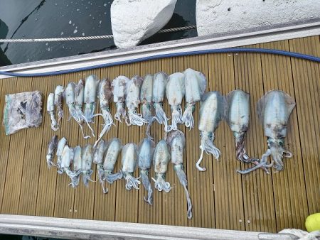 フィッシングボートACE（エース） 釣果