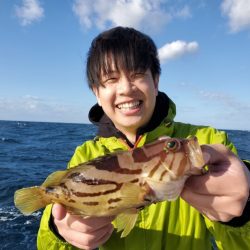 ブルーピア 釣果