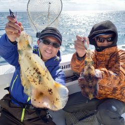 フィッシングボートACE(エース) 釣果