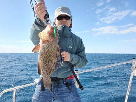 ブルーピア 釣果