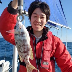 ブルーピア 釣果