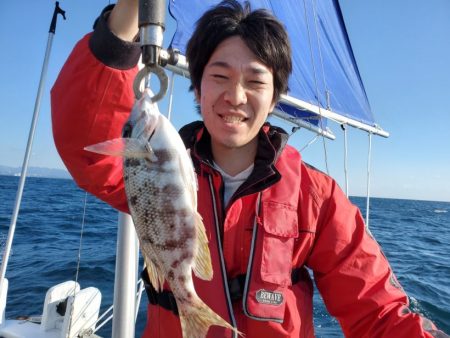 ブルーピア 釣果