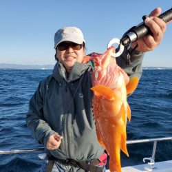 ブルーピア 釣果