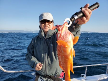 ブルーピア 釣果