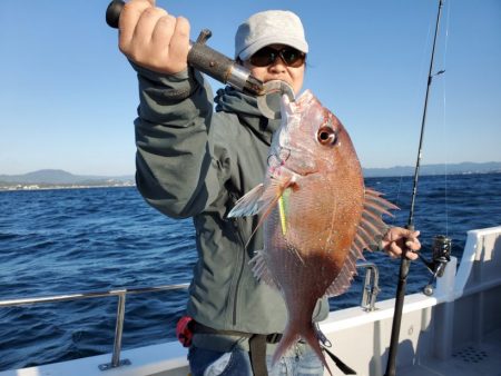 ブルーピア 釣果