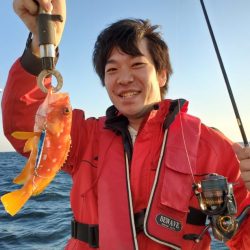 ブルーピア 釣果