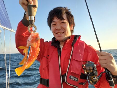 ブルーピア 釣果