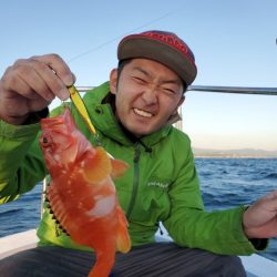 ブルーピア 釣果