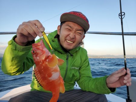 ブルーピア 釣果