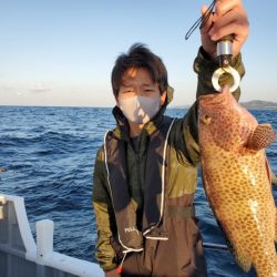 ブルーピア 釣果