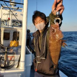 ブルーピア 釣果