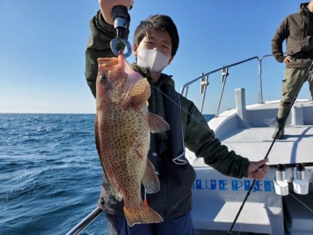 ブルーピア 釣果