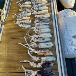 フィッシングボートACE（エース） 釣果