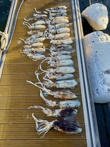 フィッシングボートACE（エース） 釣果