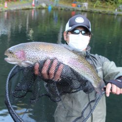 小菅トラウトガーデン 釣果