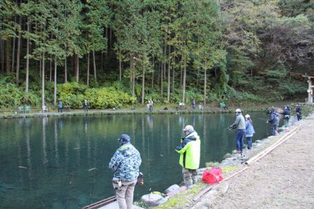 小菅トラウトガーデン 釣果
