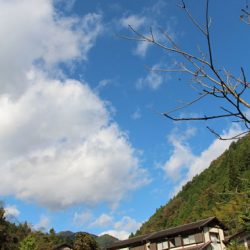 小菅トラウトガーデン 釣果