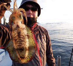 遊漁船 幸友丸 釣果