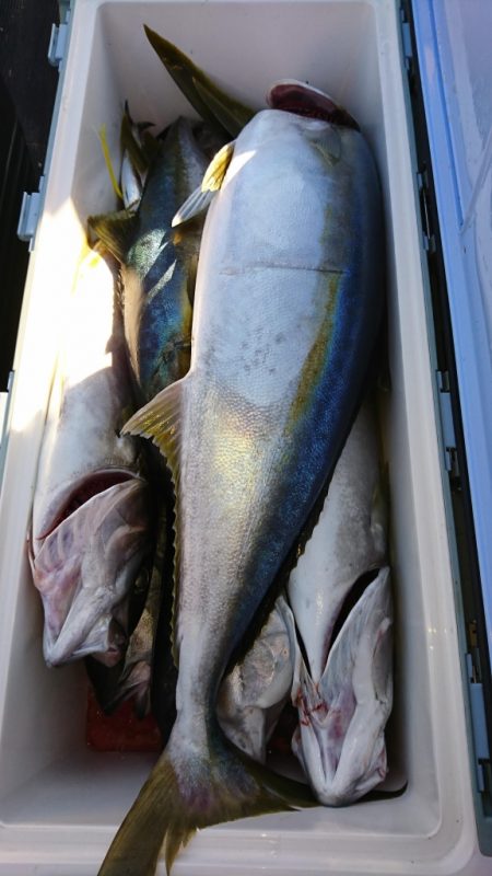 海龍丸（福岡） 釣果