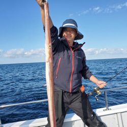 ブルーピア 釣果