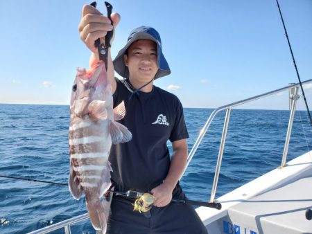 ブルーピア 釣果