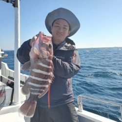 ブルーピア 釣果