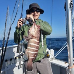 ブルーピア 釣果