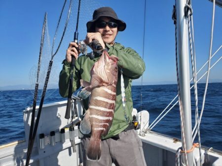 ブルーピア 釣果