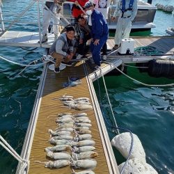 フィッシングボートACE(エース) 釣果