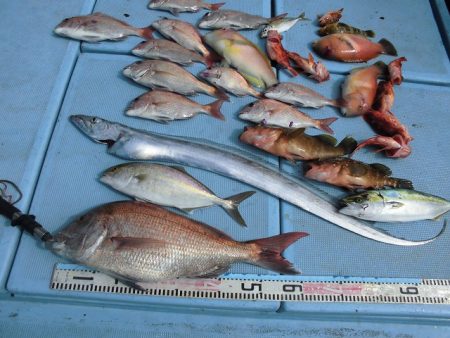 十八宝洋丸 釣果