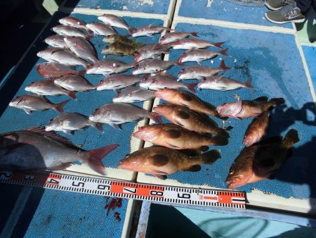 十八宝洋丸 釣果