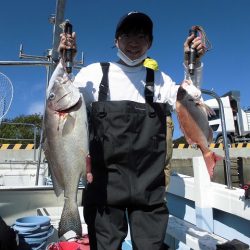 十八宝洋丸 釣果