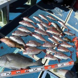 十八宝洋丸 釣果