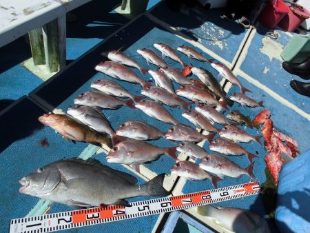 十八宝洋丸 釣果