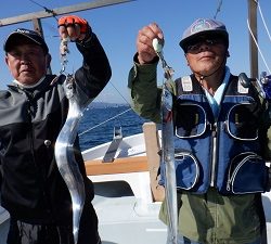 遊漁船 幸友丸 釣果