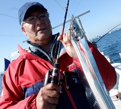 遊漁船 幸友丸 釣果